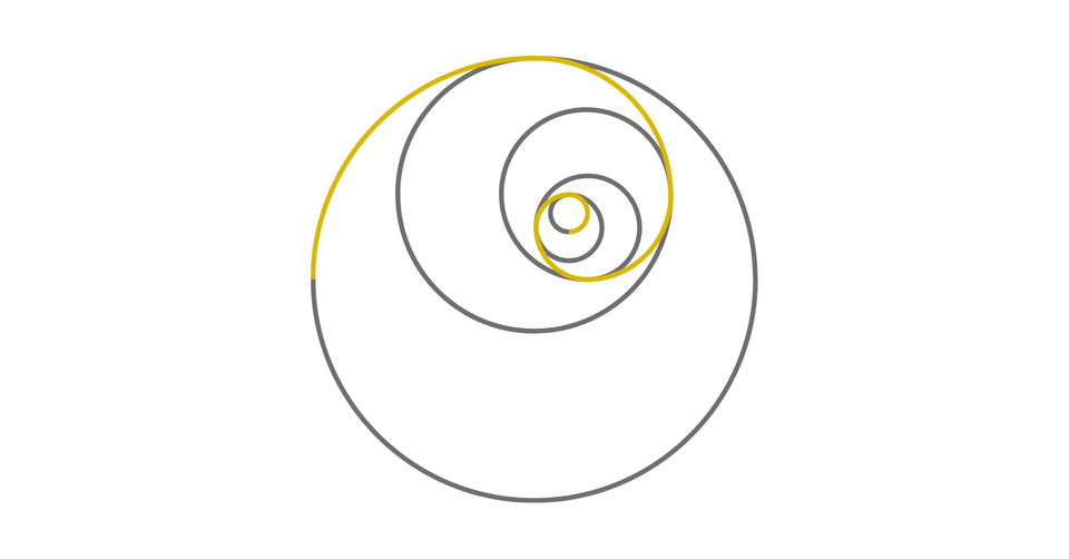 Stylised spiral pattern representing how humans describe nature with numbers.